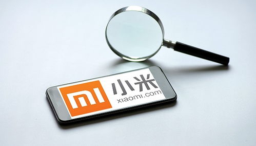 小米強化隱私保護與信息安全 第一優先級的戰略布局與未來互聯網服務高舉高打