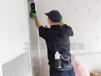 守護南城家園 專業(yè)白蟻防治服務(wù)，構(gòu)筑安全防線
