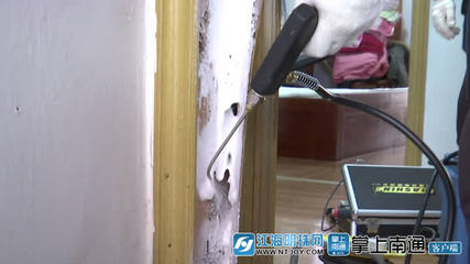 白蟻分飛高峰將至，南通應用新技術(shù)提升防治服務(wù)水平